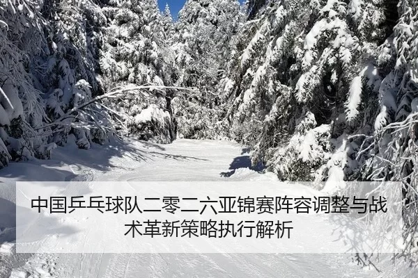 zhong-guo-ping-pang-qiu-dui-er-ling-er-liu-ya-jin-sai-zhen-rong-tiao-zheng-yu-zhan-shu-ge-xin-ce-lve-zhi-xing-jie-xi-2-779.jpg
