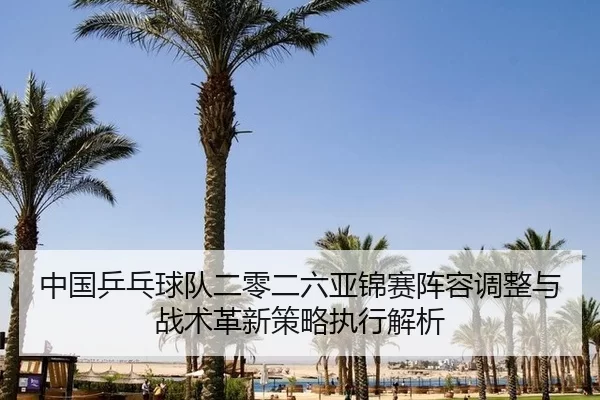中国乒乓球队二零二六亚锦赛阵容调整与战术革新策略执行解析