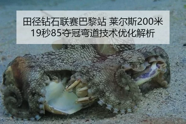 tian-jing-zuan-shi-lian-sai-ba-li-zhan-lai-er-si-mi-miao-duo-guan-wan-dao-ji-shu-you-hua-jie-xi-2-299.jpg